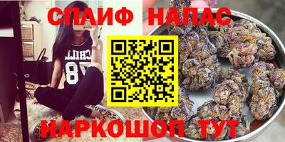 стаф Северобайкальск
