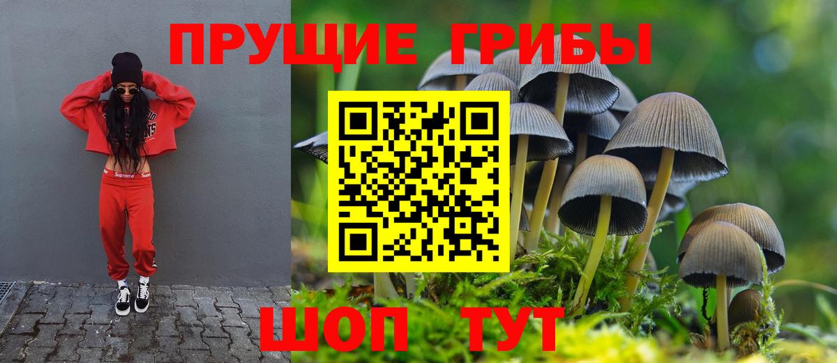 Галлюциногенные грибы Psilocybine cubensis  Галлюциногенные грибы мухоморы  Нижнекамск  Вход с VPN 